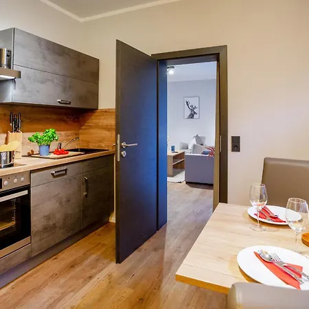 Chalet Bergzeit 4 公寓 *
